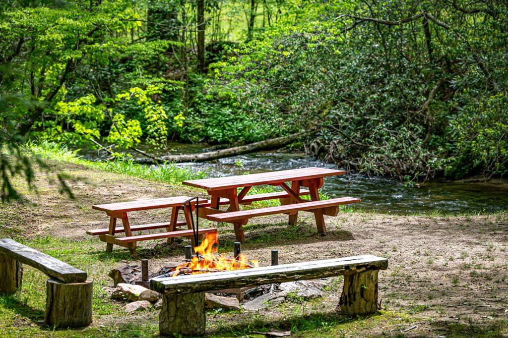 462 Tanager Trail, Ellijay