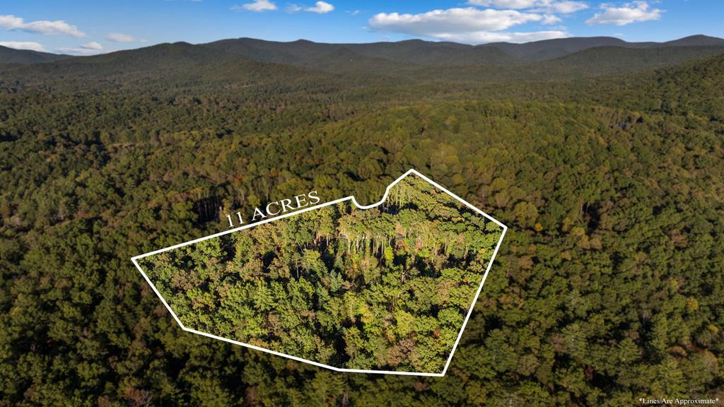 462 Tanager Trail, Ellijay