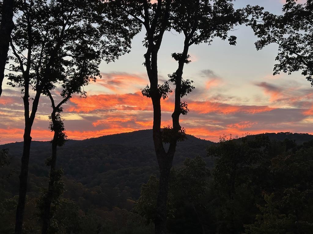 462 Tanager Trail, Ellijay