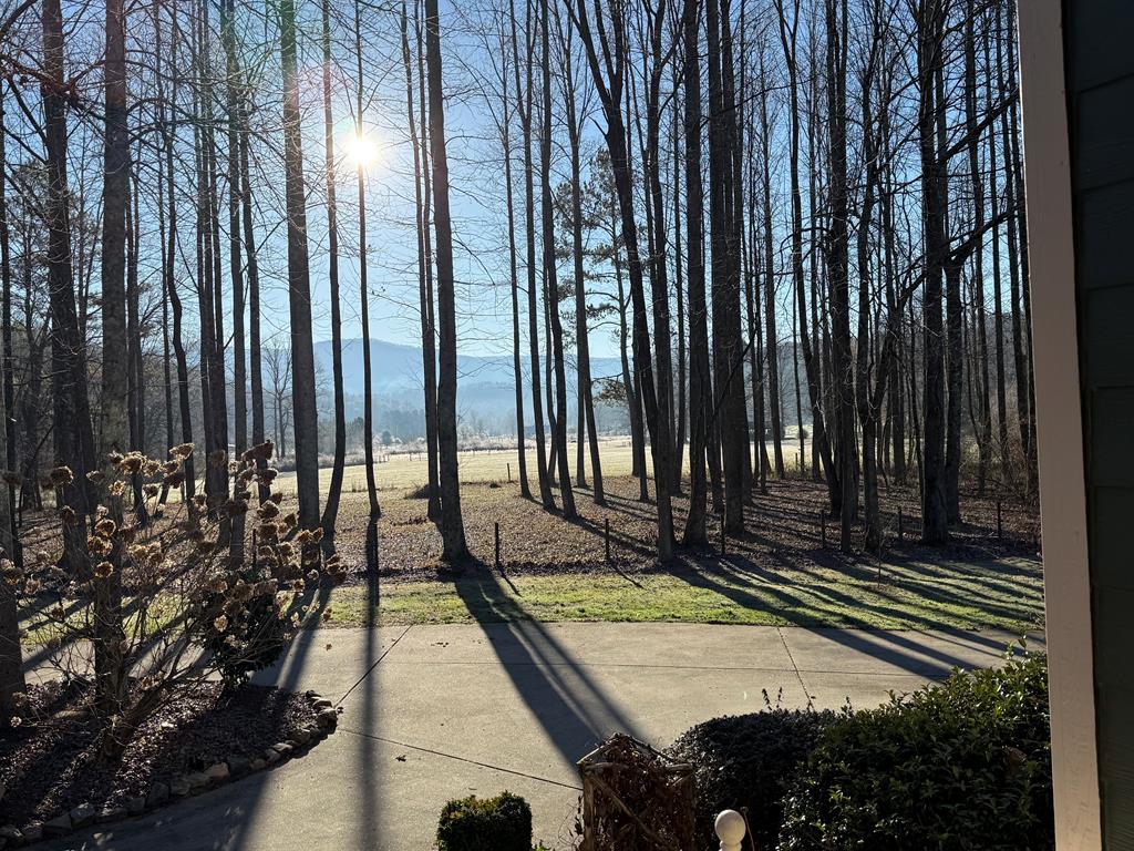 3349 Whitepath Road, Ellijay