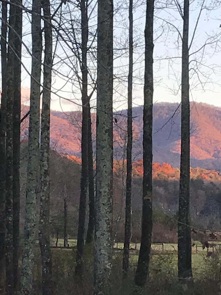 3349 Whitepath Road, Ellijay