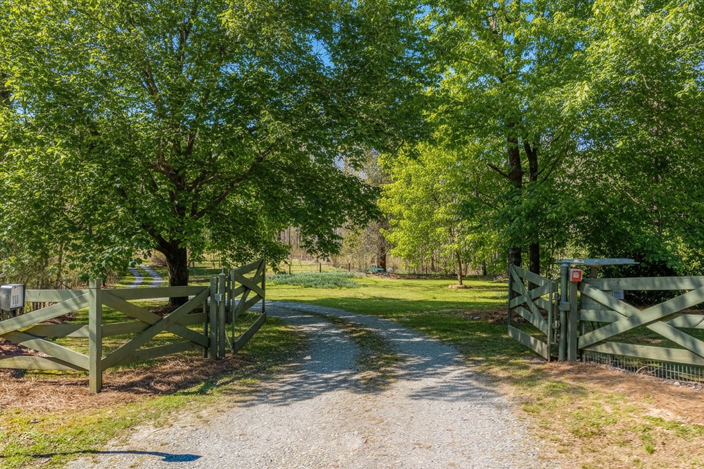 3349 Whitepath Road, Ellijay