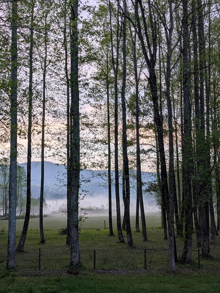 3349 Whitepath Road, Ellijay