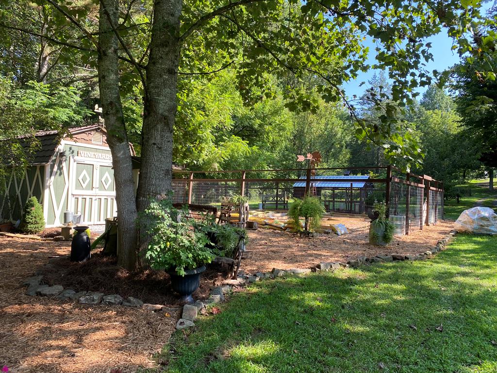 3349 Whitepath Road, Ellijay