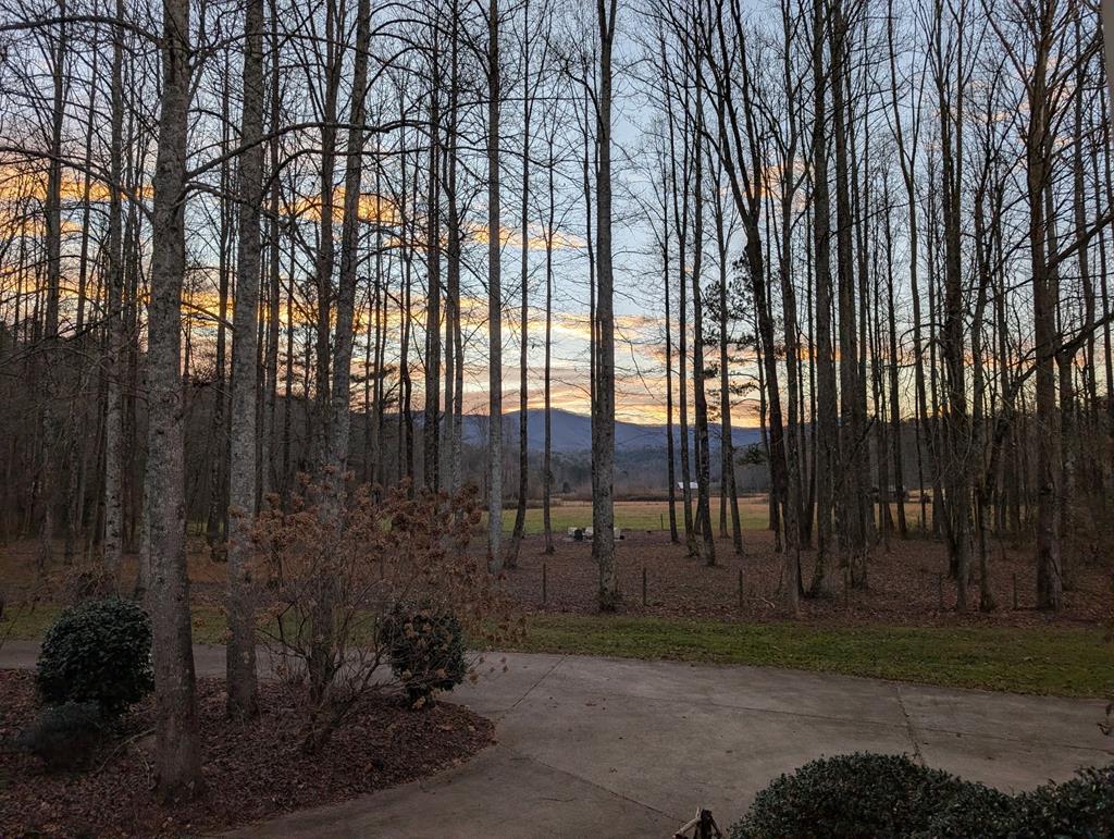 3349 Whitepath Road, Ellijay