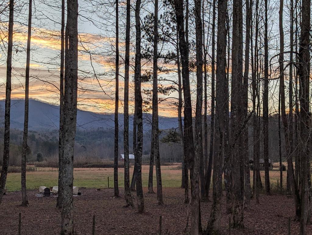 3349 Whitepath Road, Ellijay