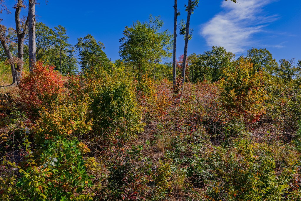 Lot 280 Highgrove Drive, Talking Rock