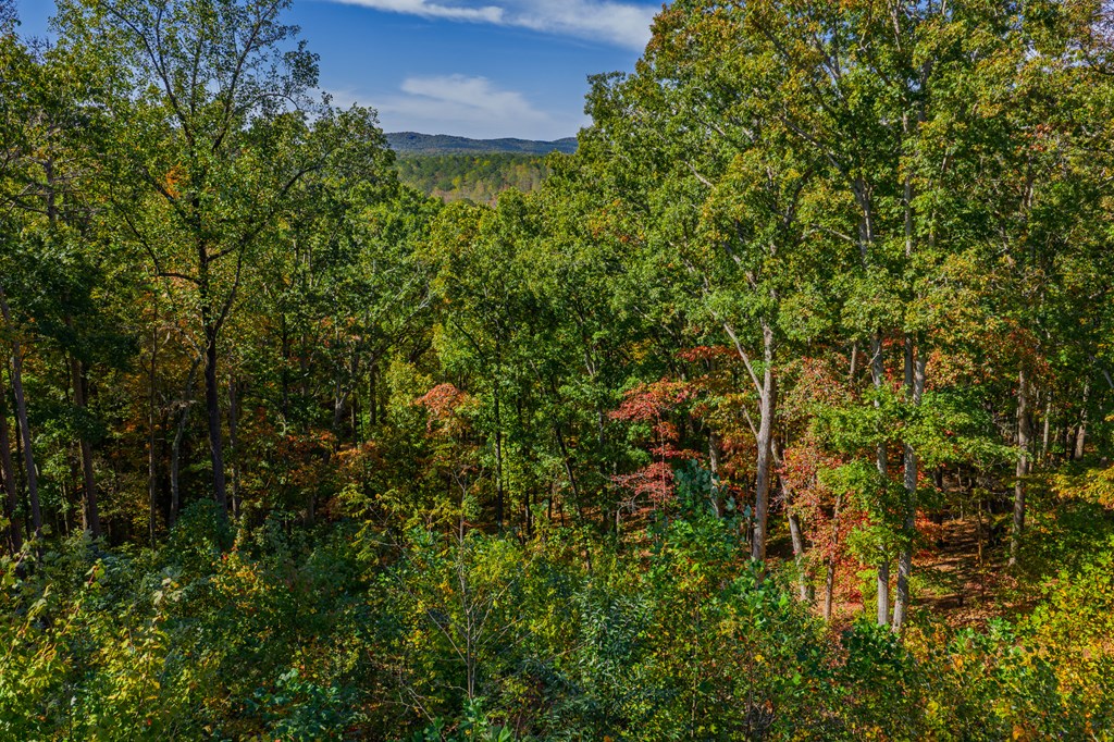 Lot 280 Highgrove Drive, Talking Rock