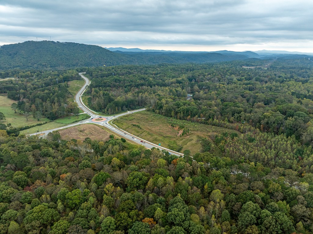 4.7 Acre Hwy 382 & Old Hwy 5s, Ellijay