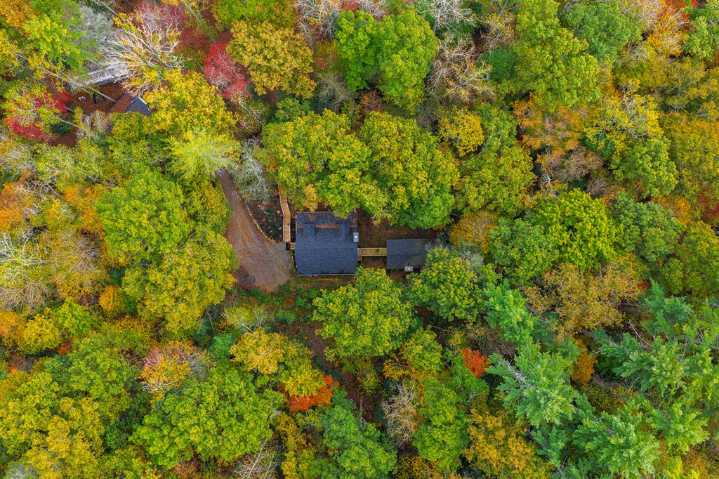 685 Chopped Oak Road, Ellijay