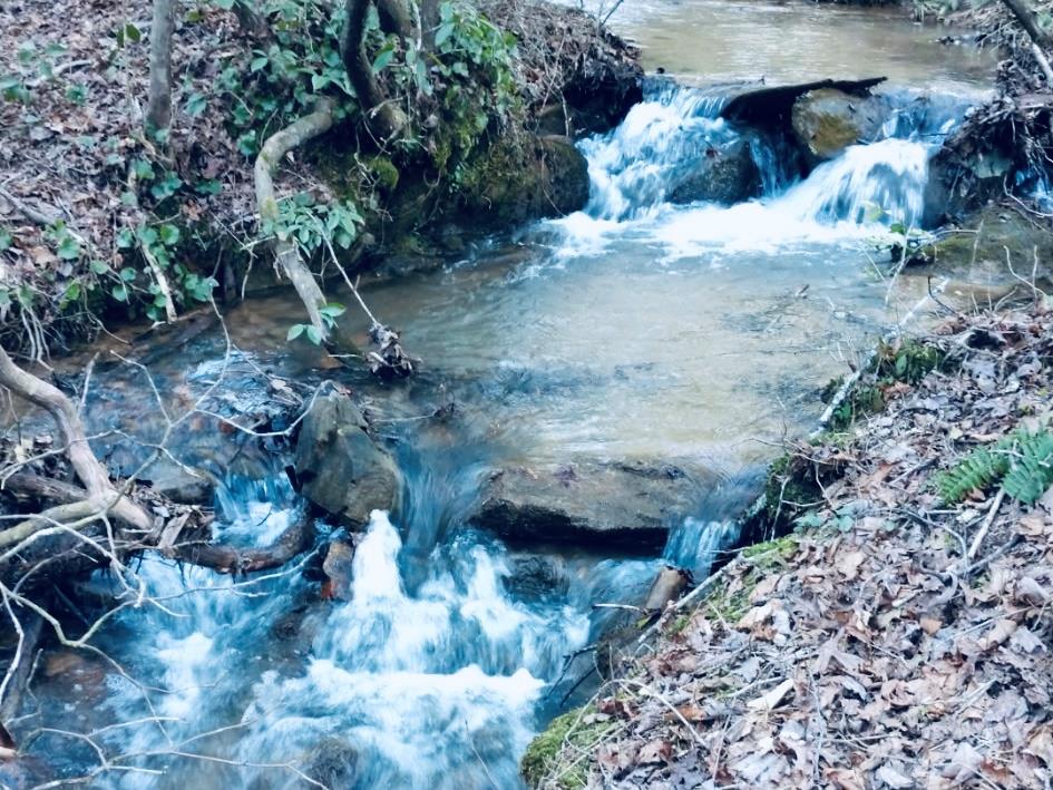 685 Chopped Oak Road, Ellijay