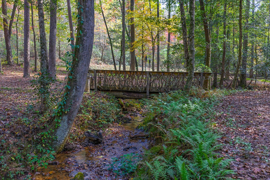 685 Chopped Oak Road, Ellijay