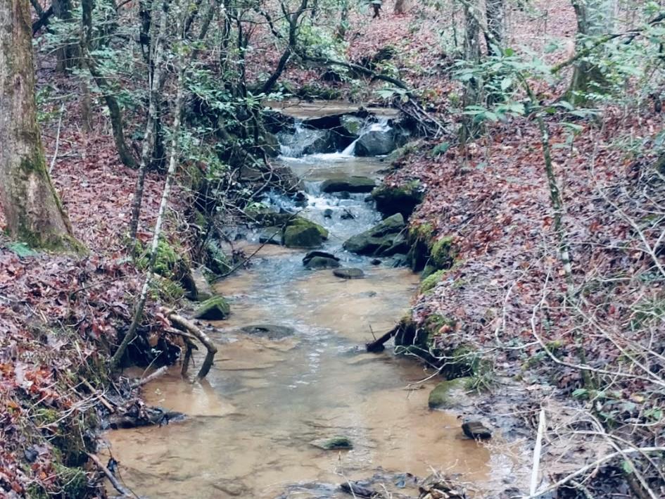 685 Chopped Oak Road, Ellijay