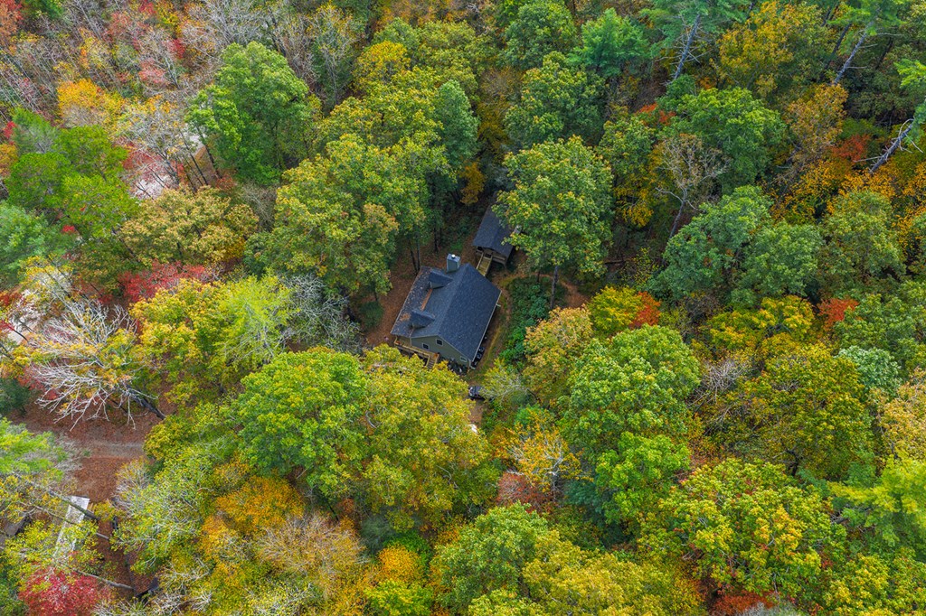685 Chopped Oak Road, Ellijay