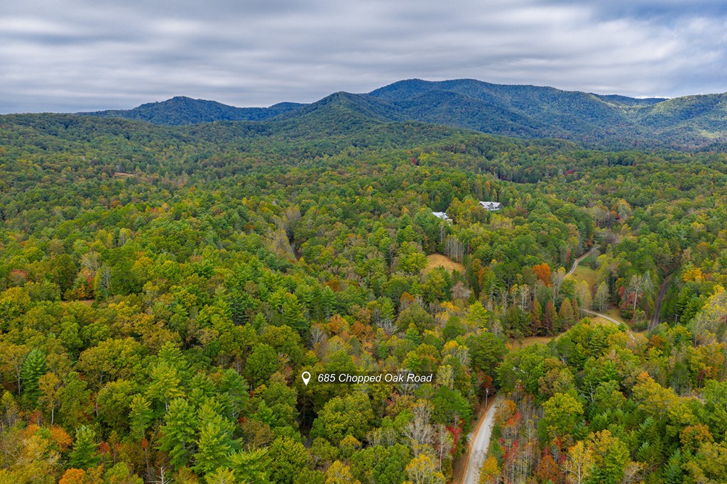 685 Chopped Oak Road, Ellijay