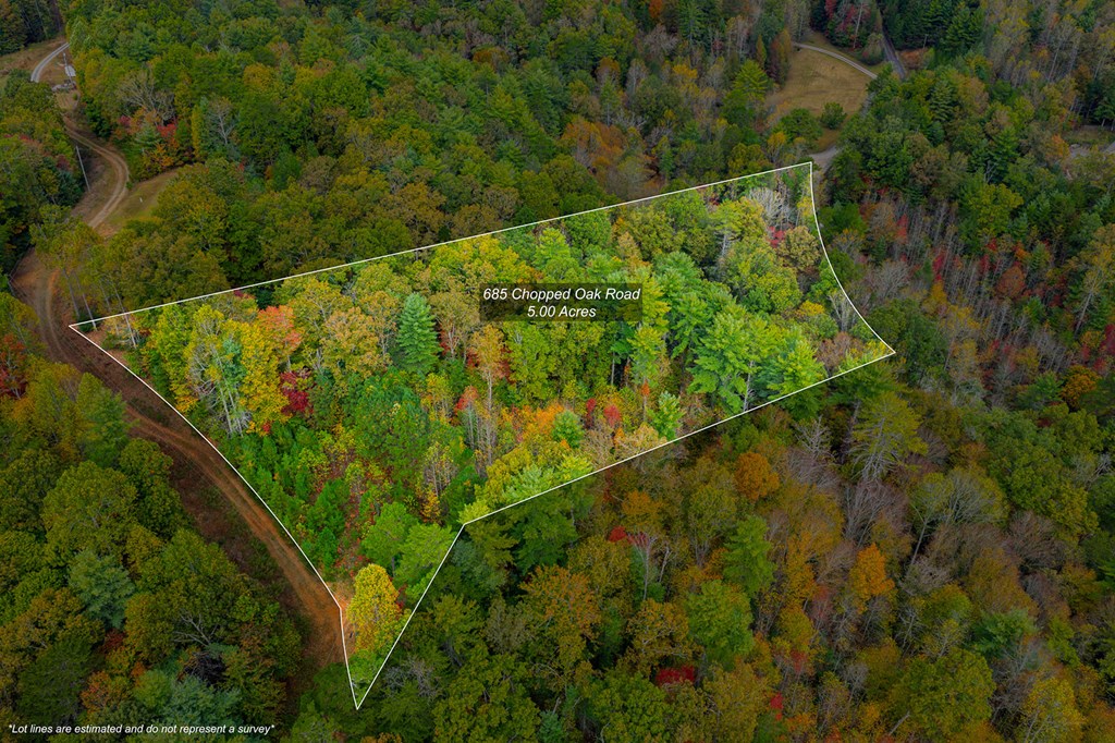 685 Chopped Oak Road, Ellijay