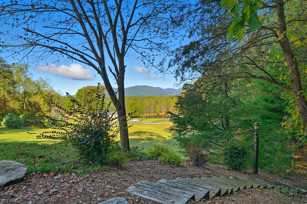 1047 Tickanetley Road, Ellijay
