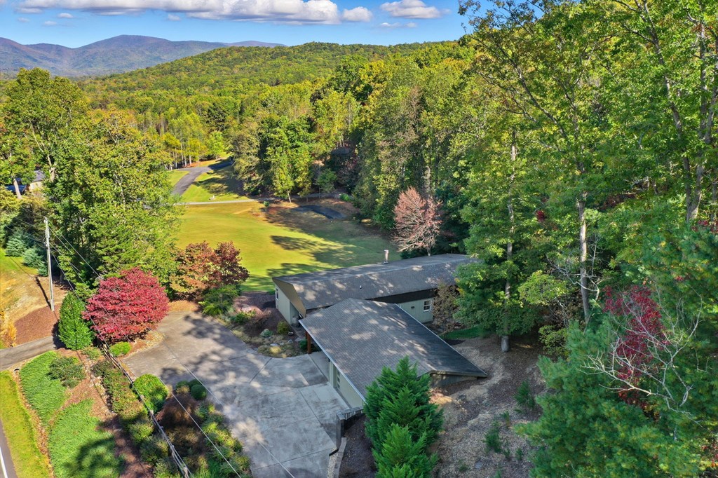 1047 Tickanetley Road, Ellijay