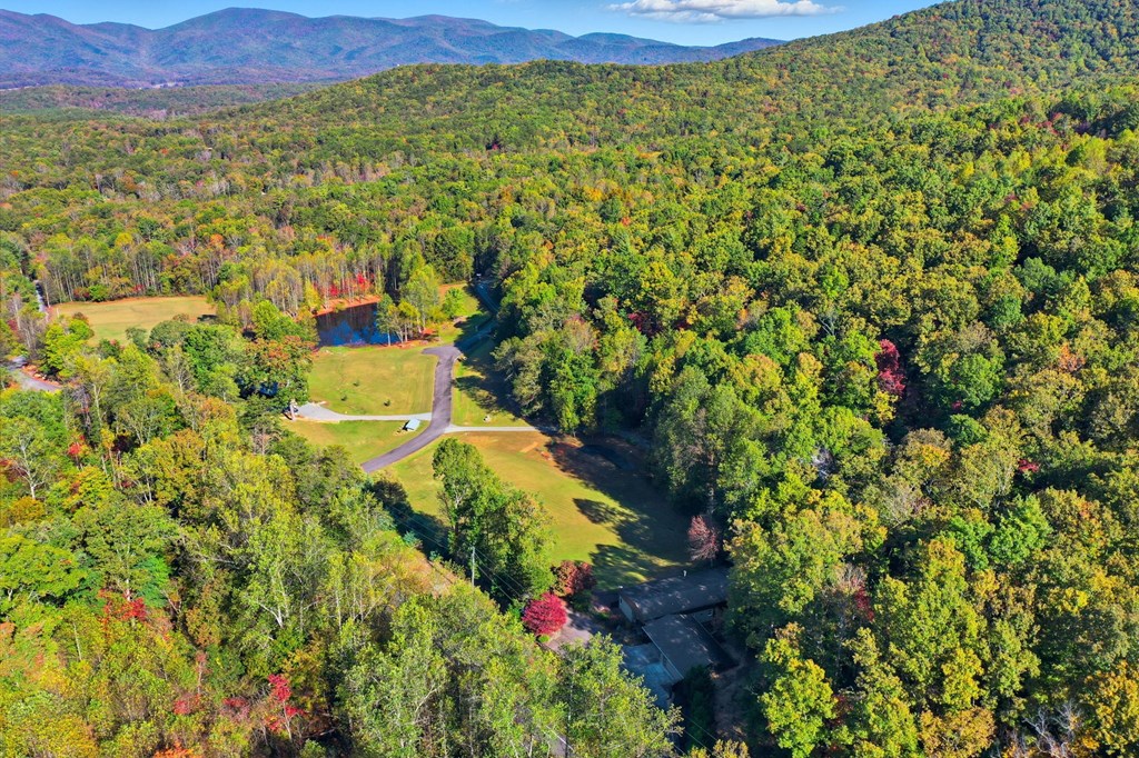 1047 Tickanetley Road, Ellijay