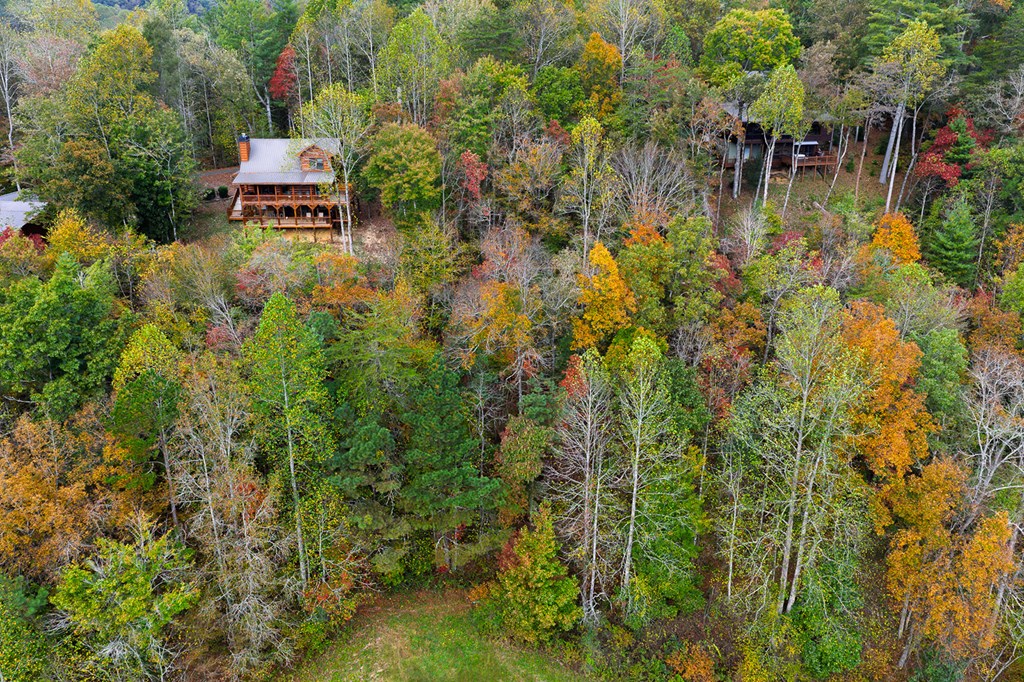 Lot 81 Lillie Drive, Ellijay