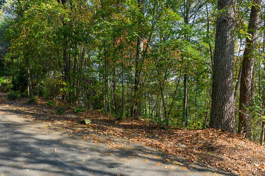Lot 81 Lillie Drive, Ellijay