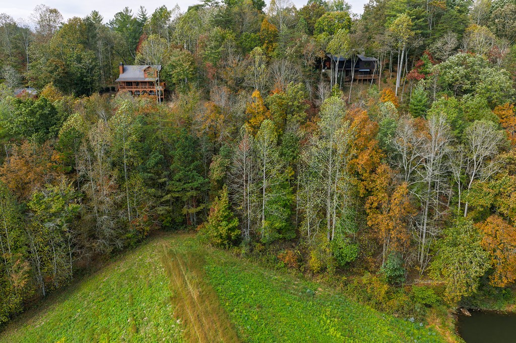Lot 81 Lillie Drive, Ellijay