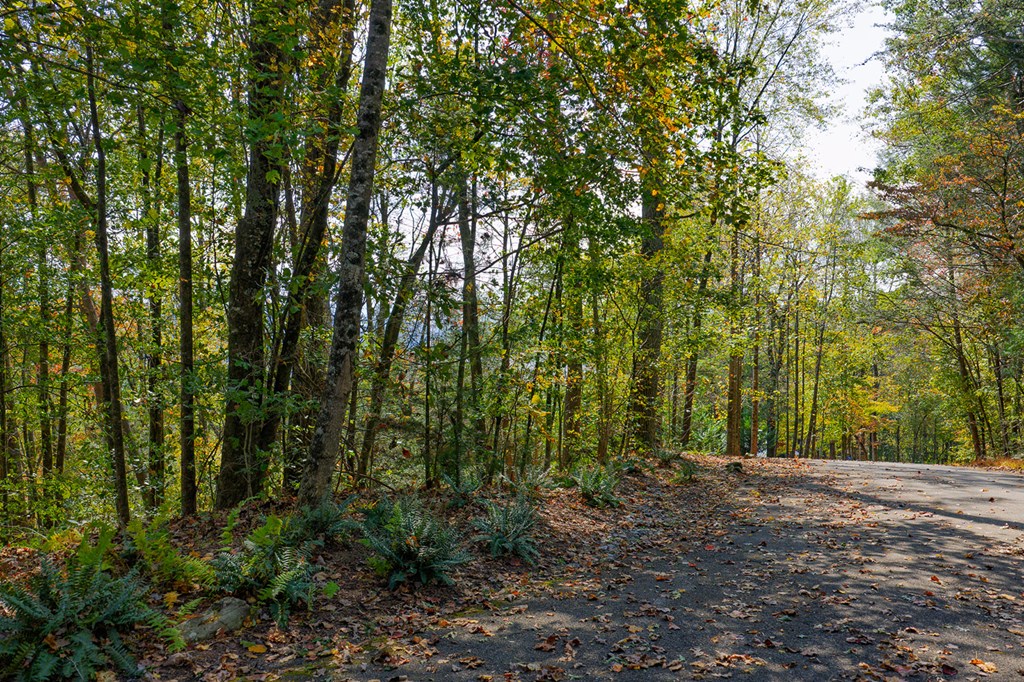 Lot 81 Lillie Drive, Ellijay
