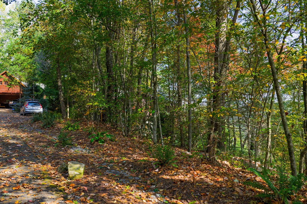 Lot 81 Lillie Drive, Ellijay