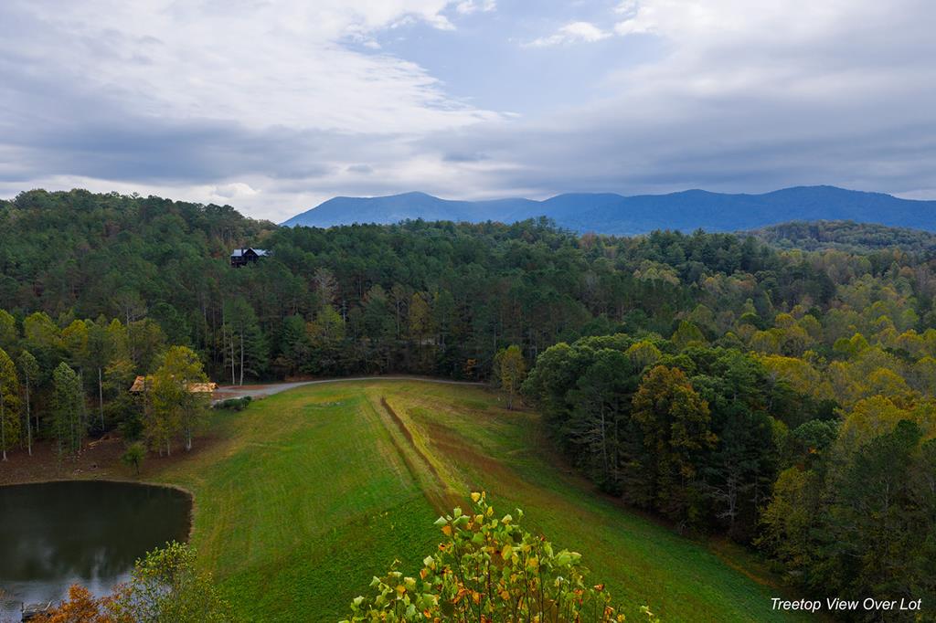 Lot 81 Lillie Drive, Ellijay