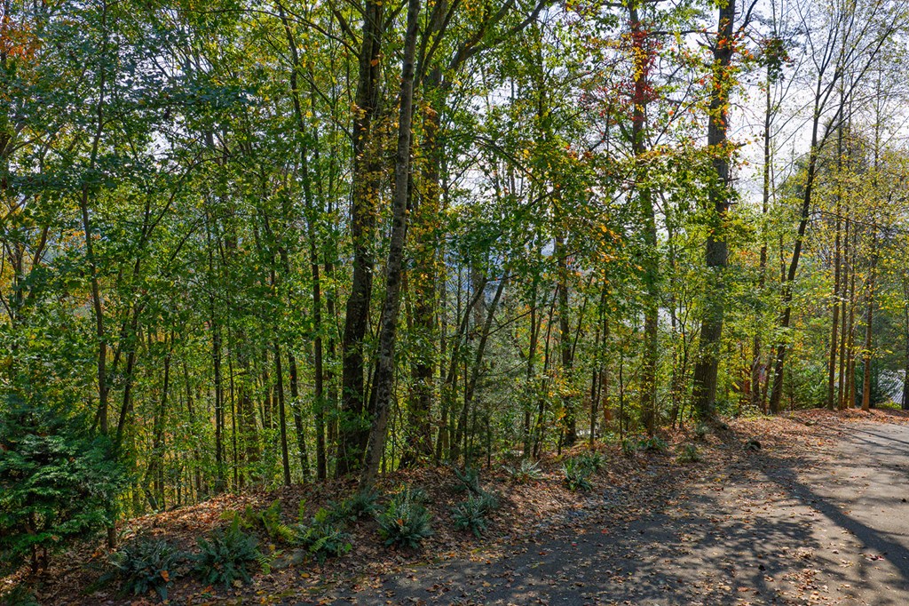 Lot 81 Lillie Drive, Ellijay