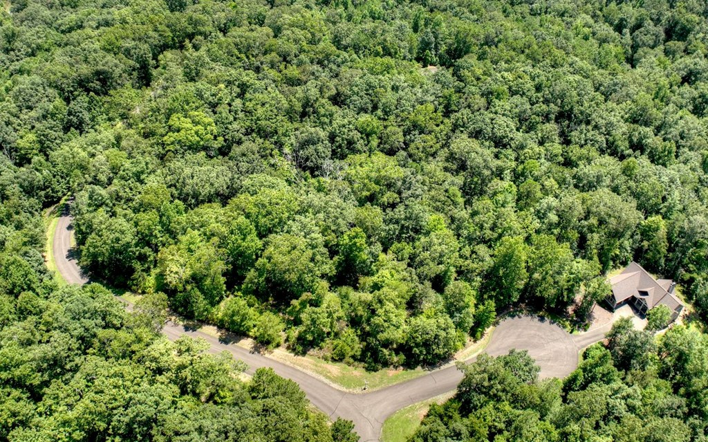 136 Whispering Ridge Court, Ellijay