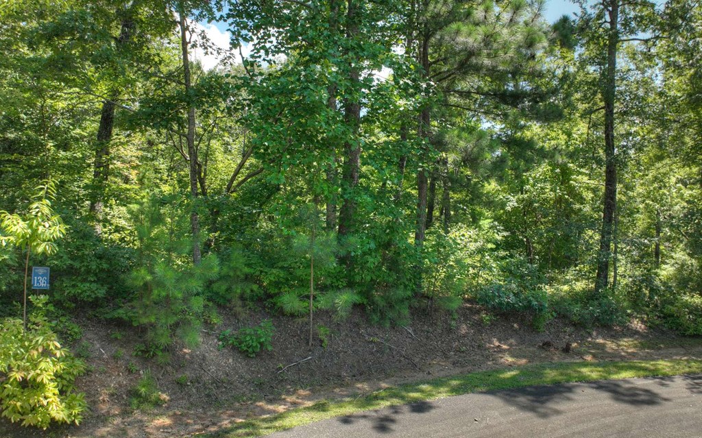 136 Whispering Ridge Court, Ellijay
