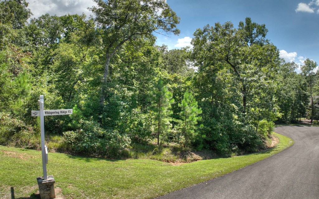 136 Whispering Ridge Court, Ellijay