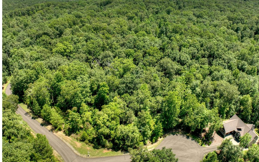 136 Whispering Ridge Court, Ellijay