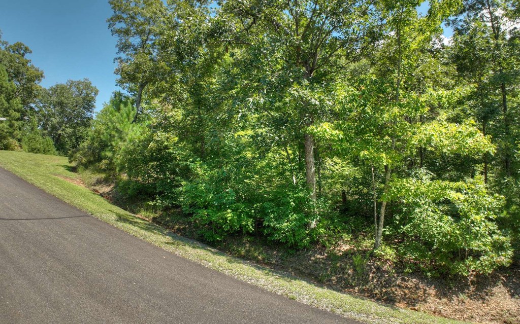 136 Whispering Ridge Court, Ellijay