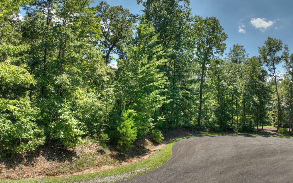 136 Whispering Ridge Court, Ellijay