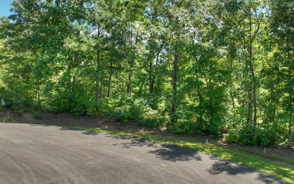 136 Whispering Ridge Court, Ellijay