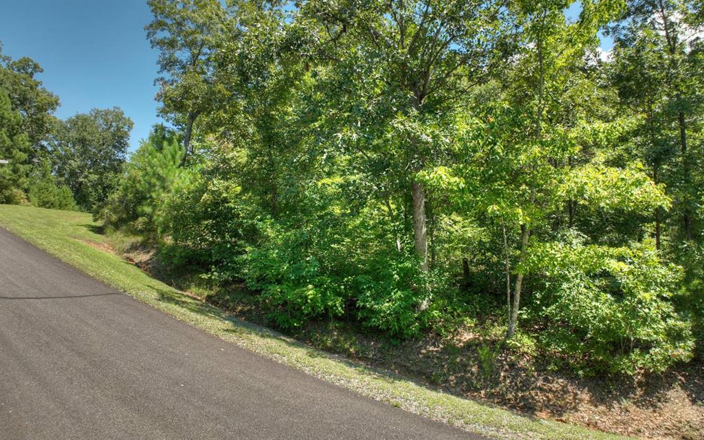 137 Whispering Ridge Court, Ellijay