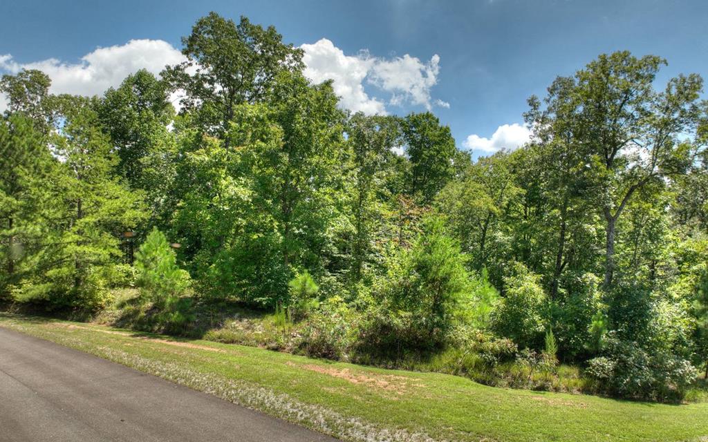 137 Whispering Ridge Court, Ellijay