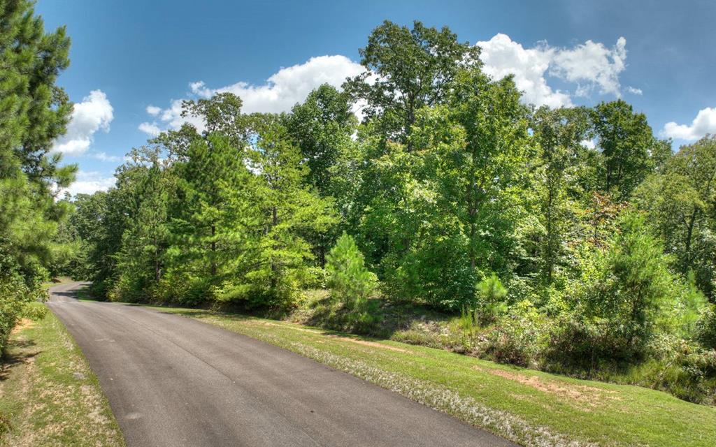 137 Whispering Ridge Court, Ellijay