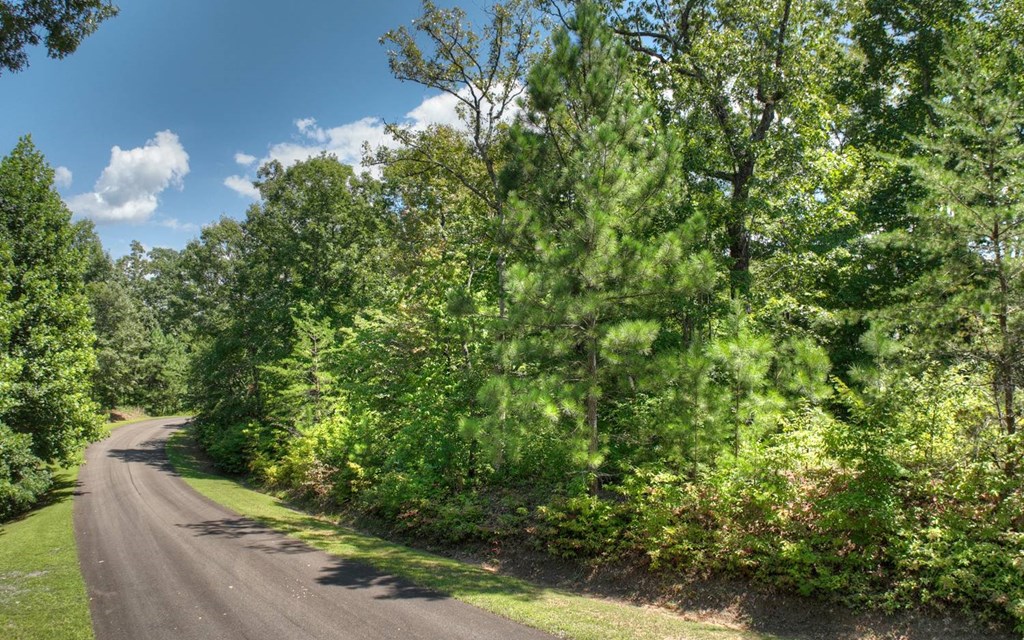 139 Whispering Ridge Court, Ellijay