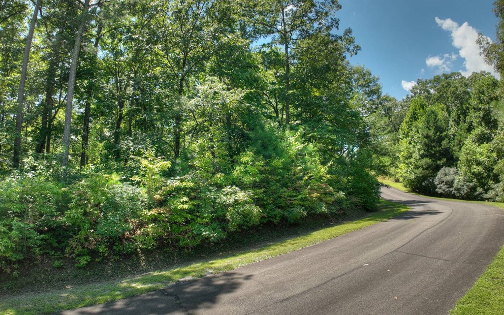 139 Whispering Ridge Court, Ellijay