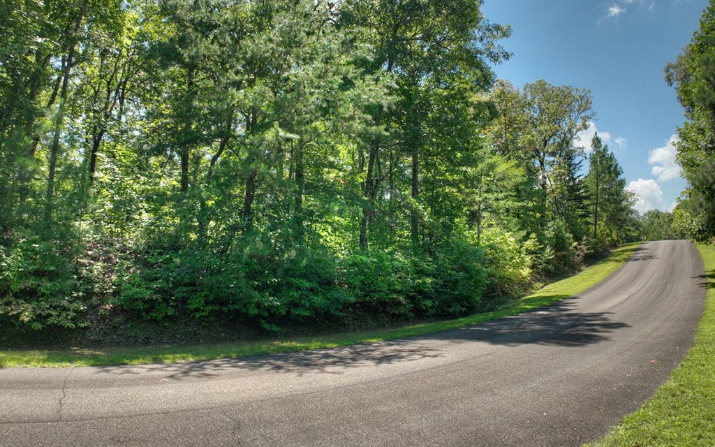 139 Whispering Ridge Court, Ellijay