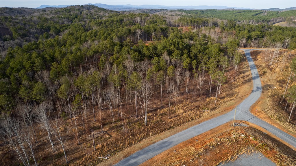 Lot 177 Shallow Water Way, Talking Rock