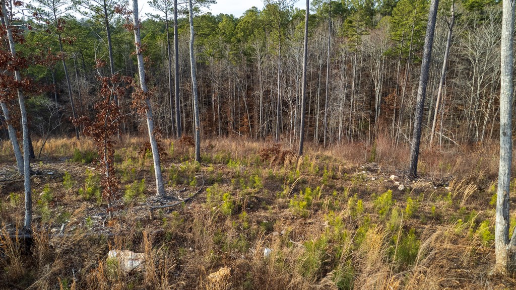 Lot 177 Shallow Water Way, Talking Rock