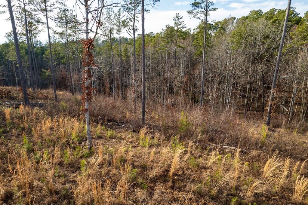 Lot 177 Shallow Water Way, Talking Rock