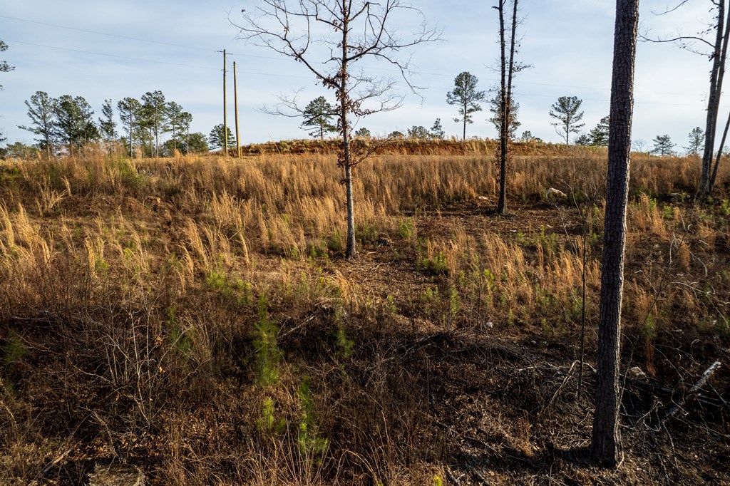 Lot 177 Shallow Water Way, Talking Rock