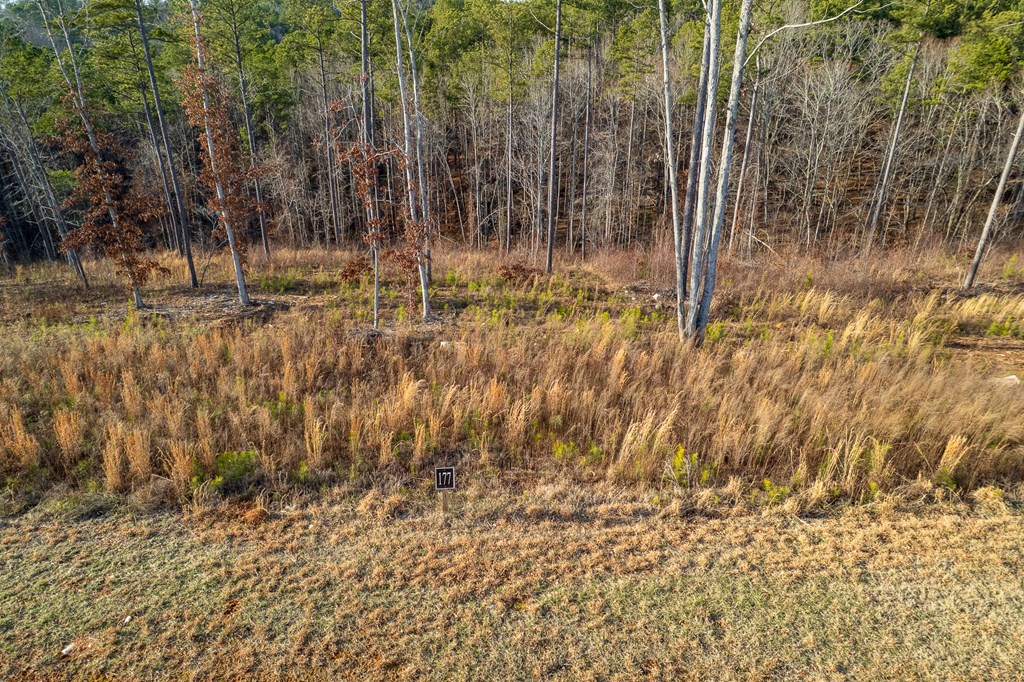 Lot 177 Shallow Water Way, Talking Rock