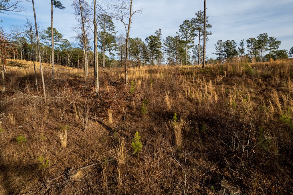 Lot 177 Shallow Water Way, Talking Rock