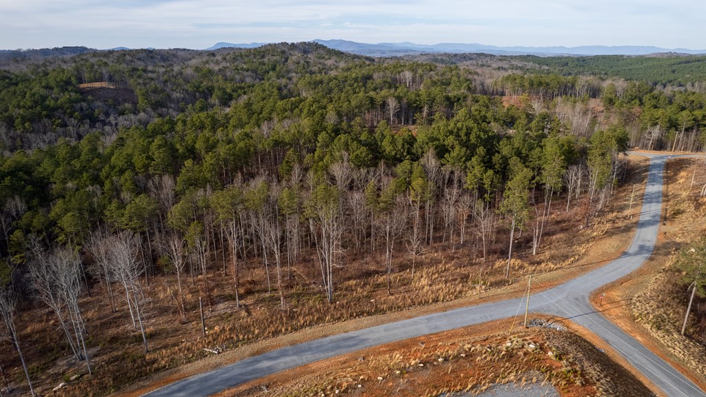 Lot 177 Shallow Water Way, Talking Rock